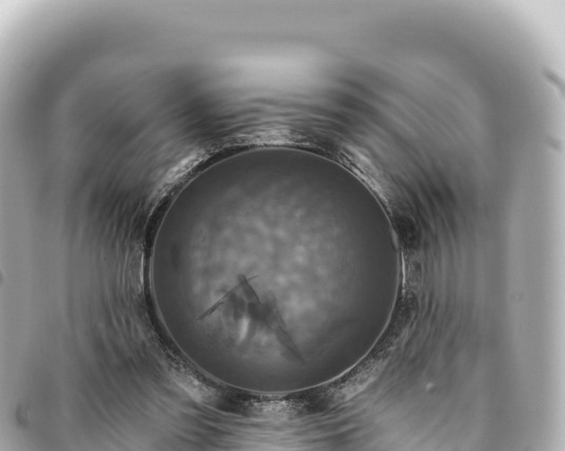 X0000095110301200712141158