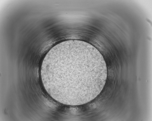 X0000095110302200712141158