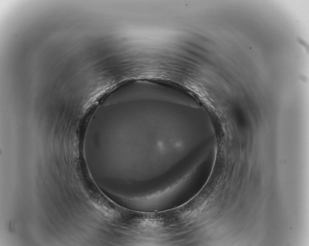 X0000095110303200712141158