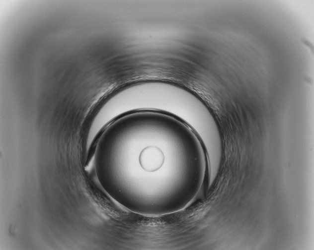 X0000095110304200712141158