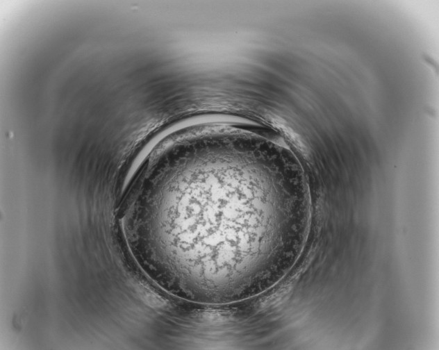 X0000095110305200712141158