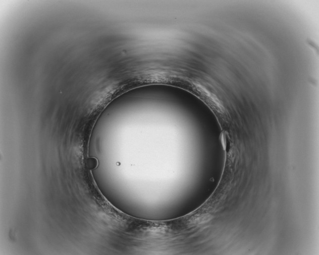 X0000095110306200712141158