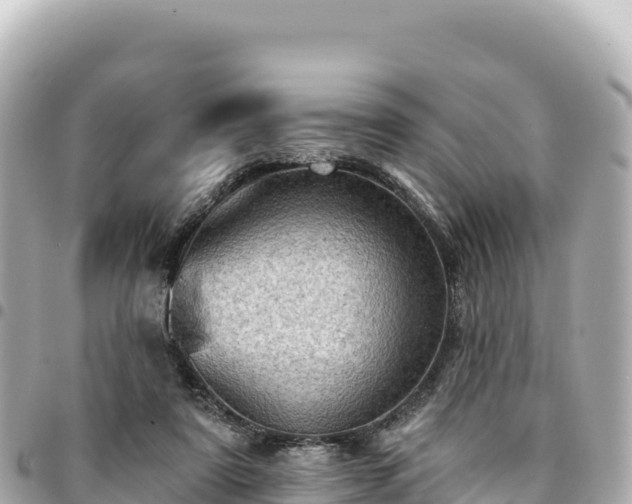 X0000095110307200712141158