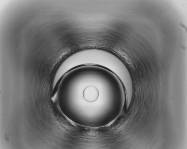 X0000095110308200712141158