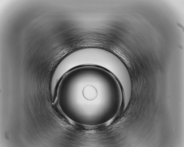 X0000095110309200712141158