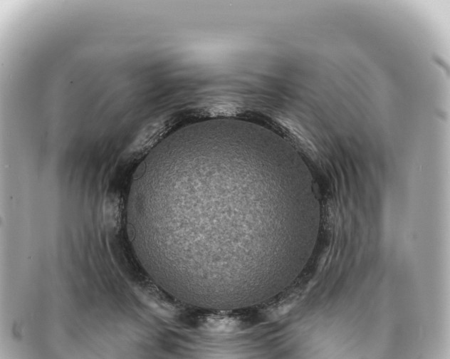 X0000095110311200712141158