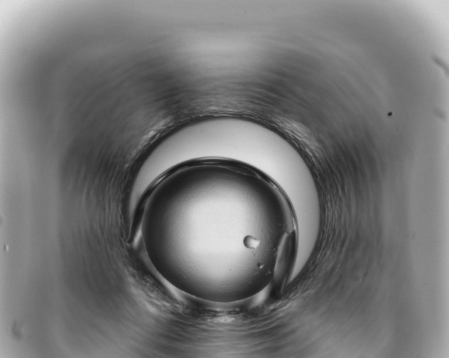 X0000095110312200712141158