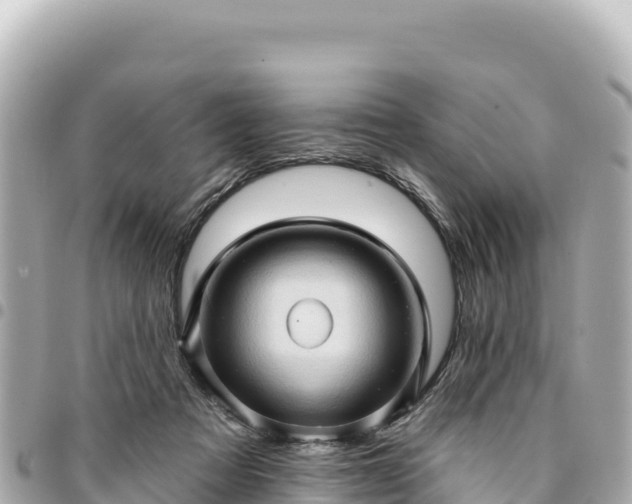 X0000095110313200712141158