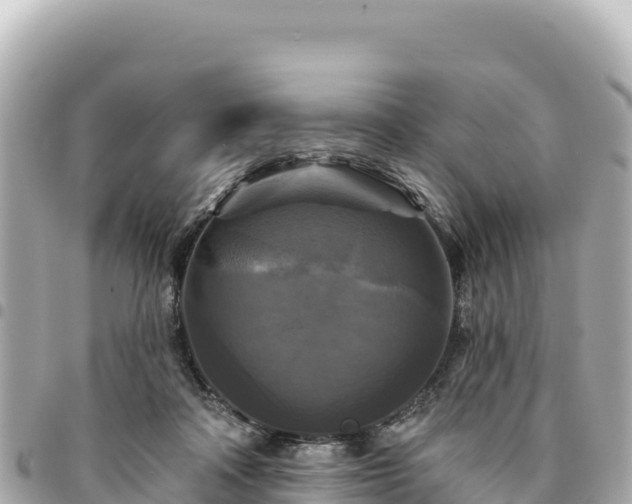 X0000095110314200712141158