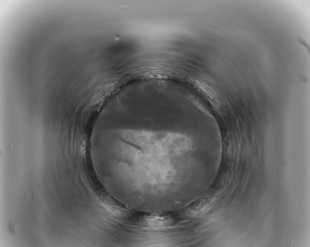 X0000095110315200712141158