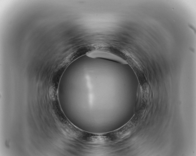 X0000095110316200712141158