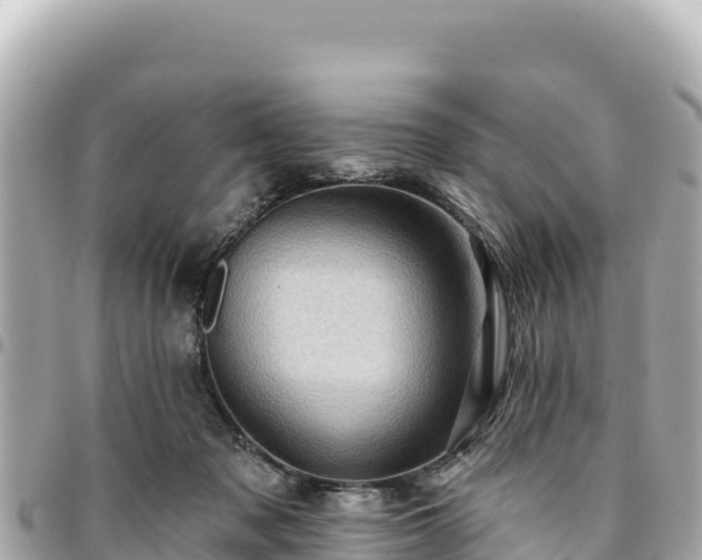 X0000095110317200712141158