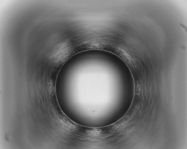 X0000095110318200712141158