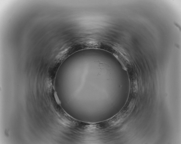 X0000095110320200712141157