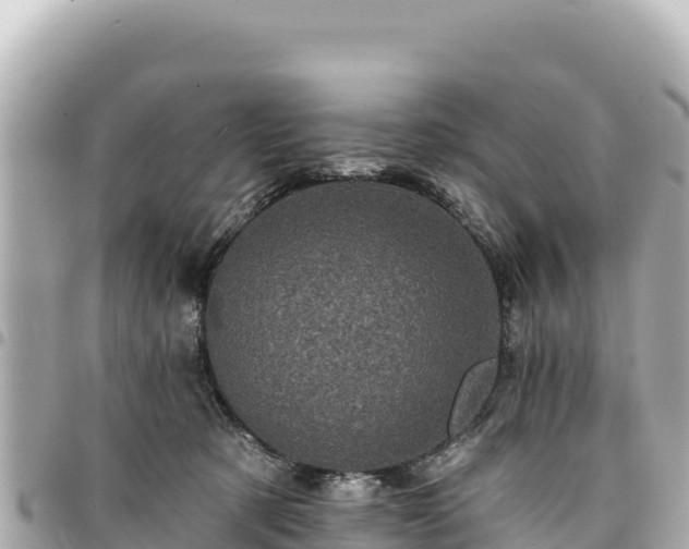 X0000095110321200712141157