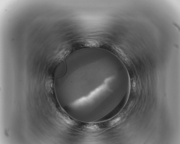 X0000095110322200712141157