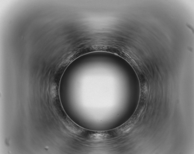 X0000095110323200712141157