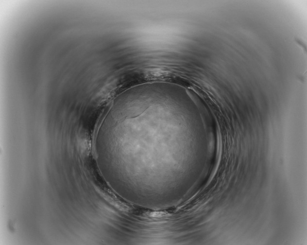 X0000095110324200712141157