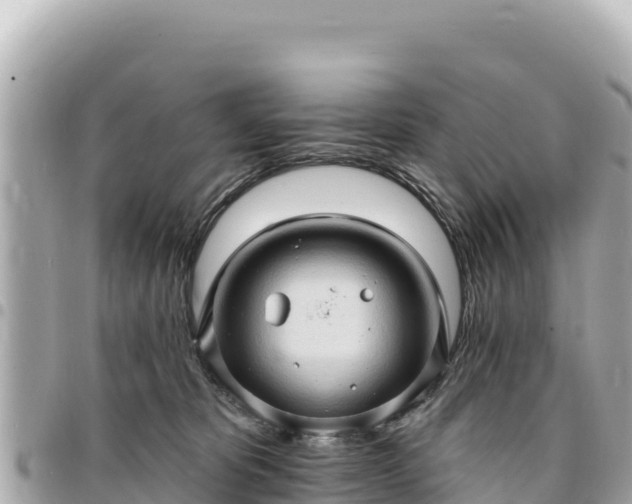 X0000095110325200712141157