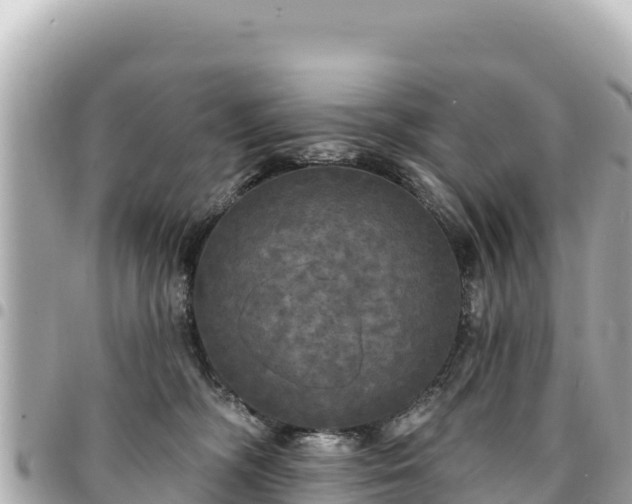 X0000095110326200712141157