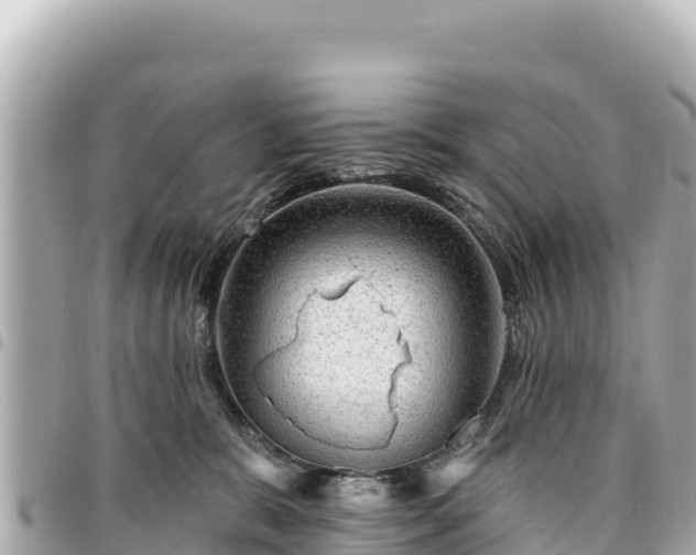 X0000095110327200712141157