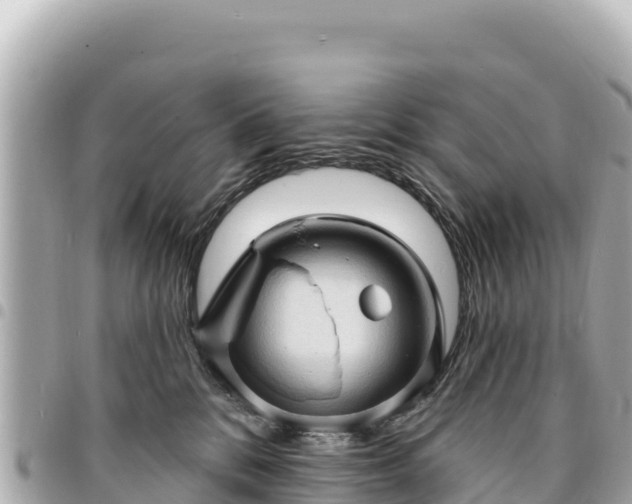 X0000095110328200712141157