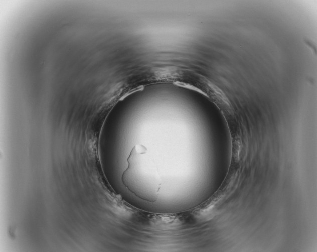 X0000095110329200712141157