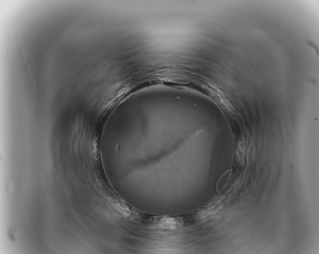 X0000095110330200712141157