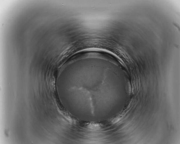 X0000095110332200712141157