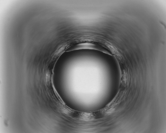 X0000095110333200712141157