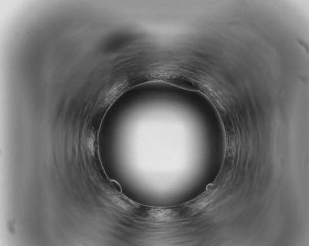 X0000095110334200712141157