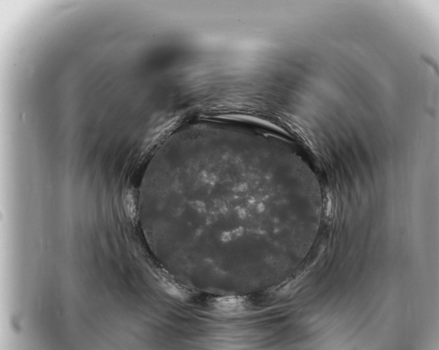 X0000095110335200712141157