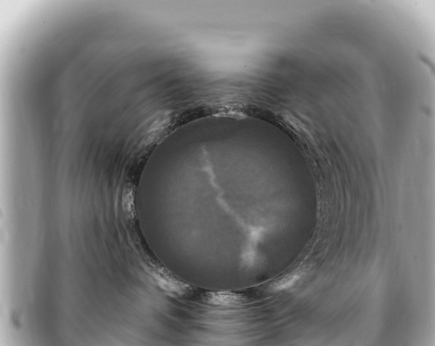 X0000095110336200712141157