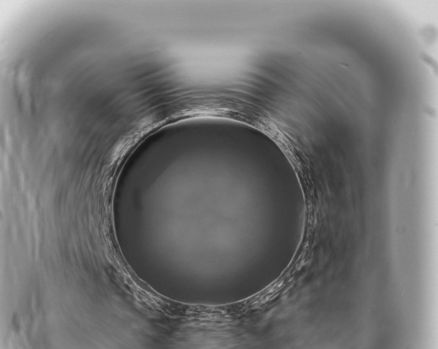 X0000095110337200712141157