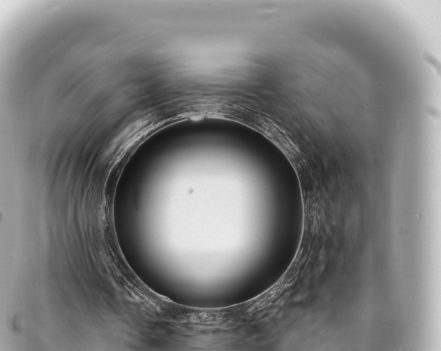 X0000095110338200712141157