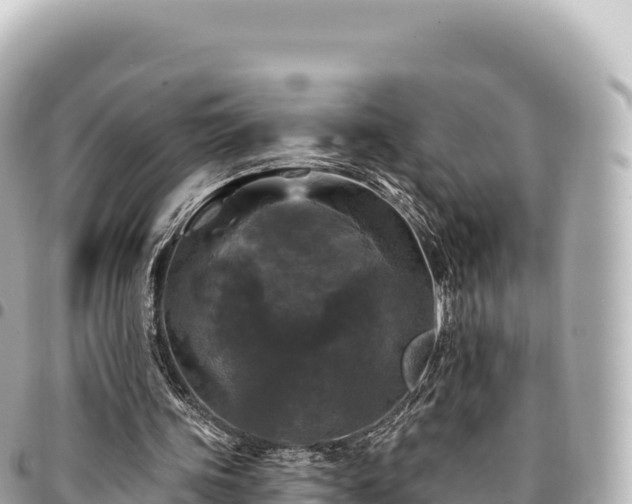 X0000095110339200712141157