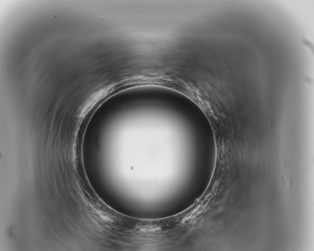 X0000095110340200712141157