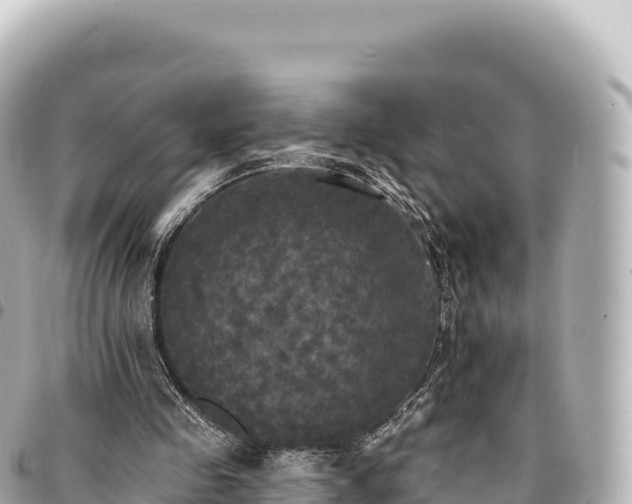 X0000095110341200712141157