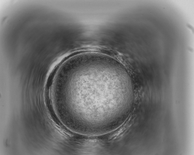 X0000095110342200712141157