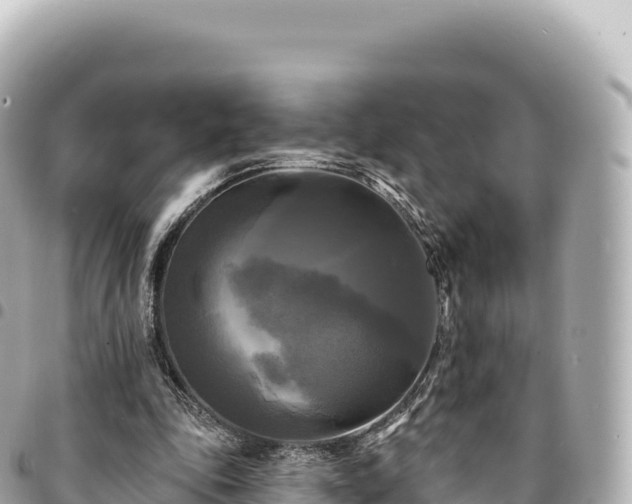 X0000095110343200712141157