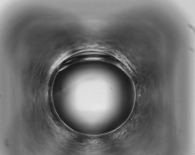 X0000095110344200712141157