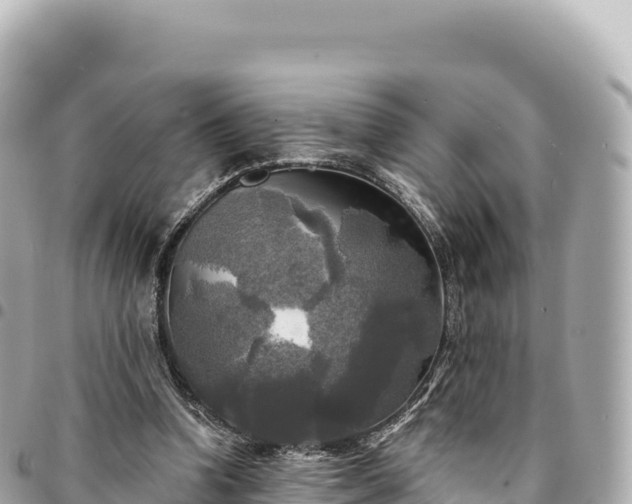 X0000095110346200712141157