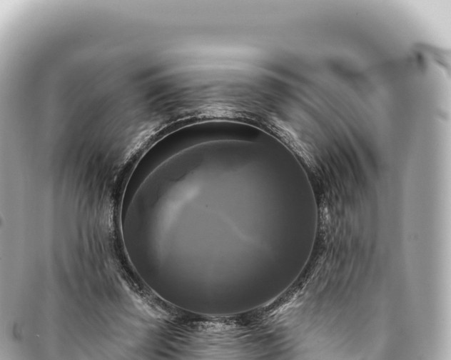 X0000095110347200712141157