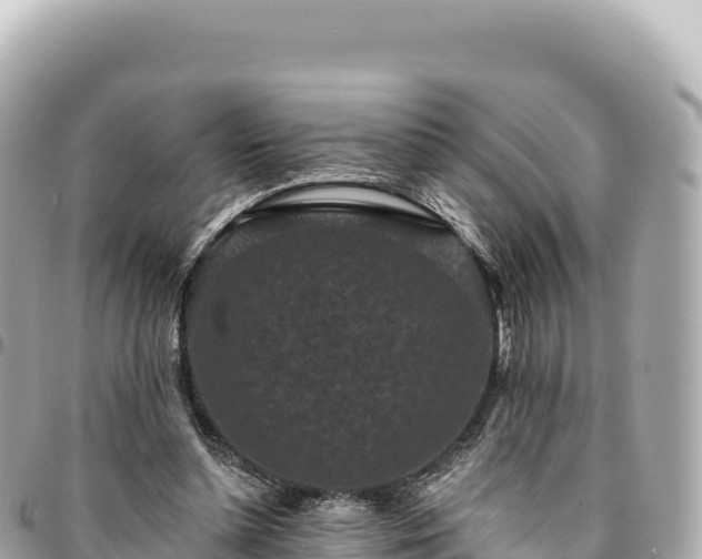 X0000095110348200712141157