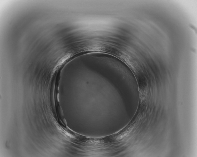 X0000095110349200712141157