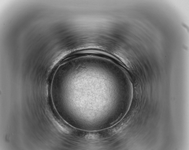 X0000095110350200712141157