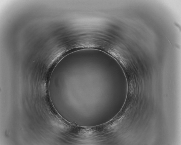 X0000095110351200712141157