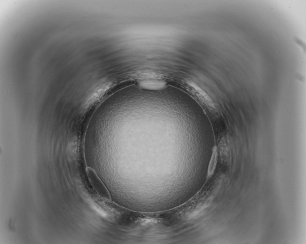 X0000095110352200712141157