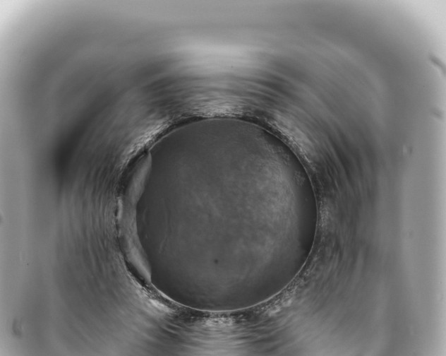 X0000095110353200712141157