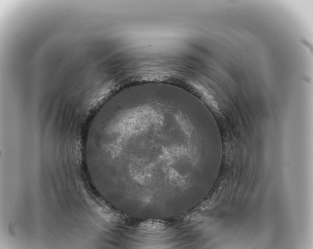 X0000095110354200712141157